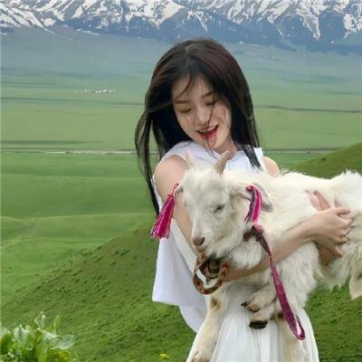 乱发日记